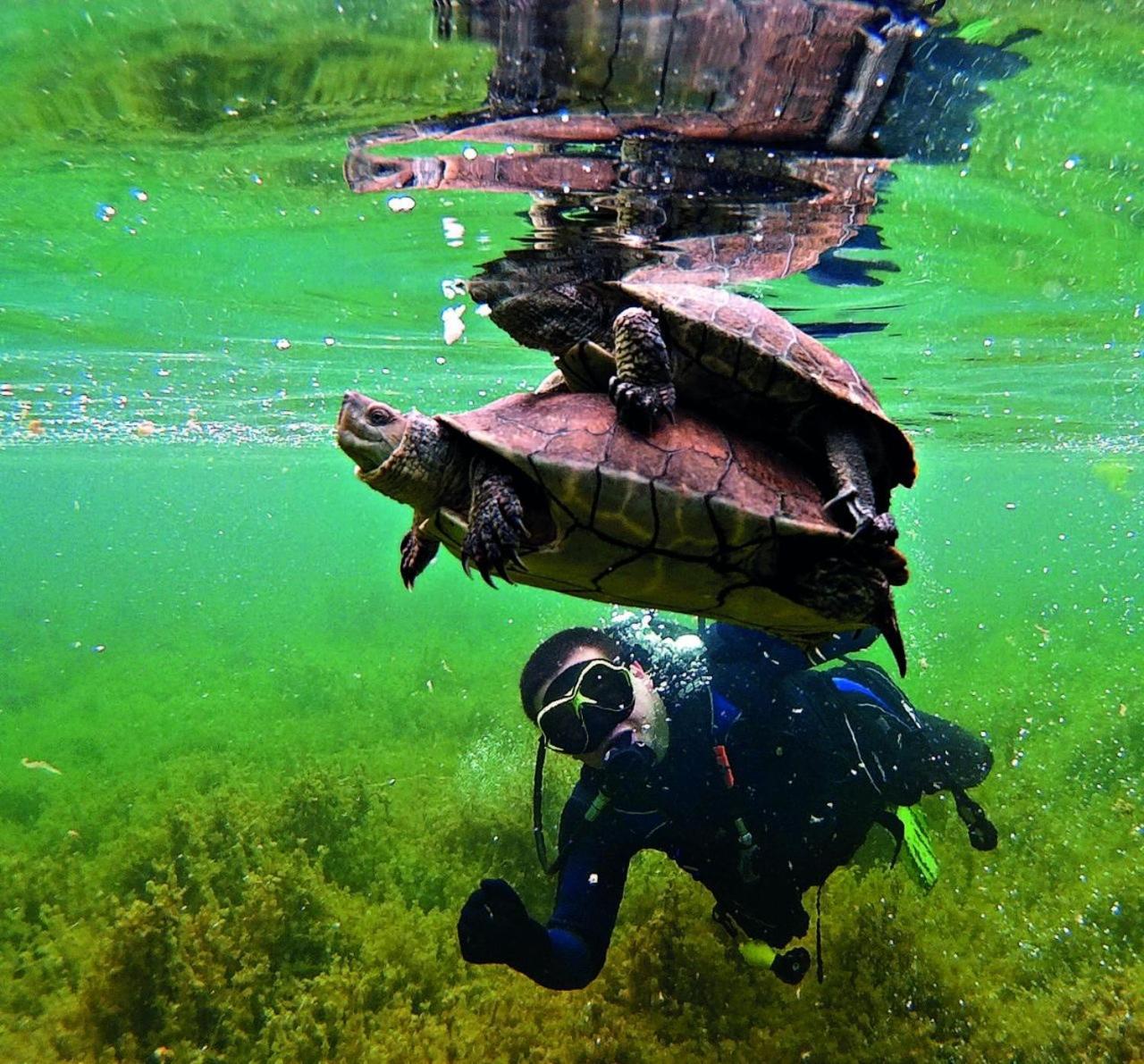 Villa Tranquila Lagunas De Ruidera Ossa de Montiel Bagian luar foto